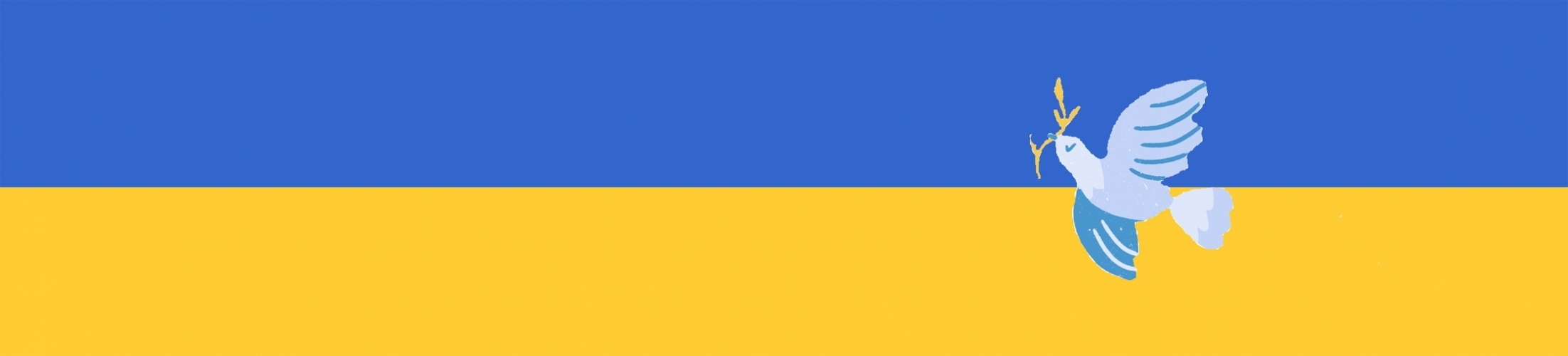 ZONTA hilft in der Ukraine / Überblick